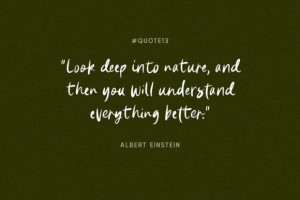 Natural Handwriting Font – Casual Brush Style 3 1101250804 - Free Art Files