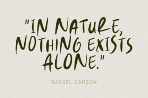 Natural Handwriting Font – Casual Brush Style 5 3822904266 - Free Art Files