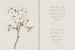 3276783089 - Free Art Files