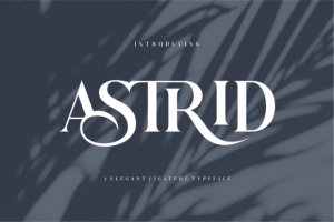 Astrid Font - Timeless Elegant Serif 2 2748477202 - Free Art Files