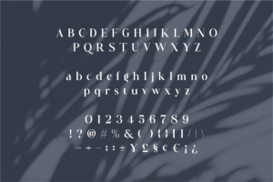 Astrid Font - Timeless Elegant Serif 14 1769976561 - Free Art Files