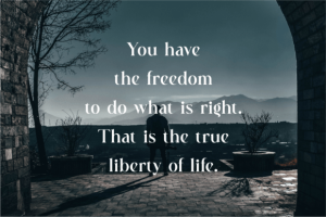 Astrid Font - Timeless Elegant Serif 9 366823447 - Free Art Files