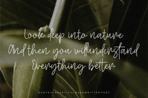 Audysta Font: Elegant Handwriting 8 2170695736 - Free Art Files