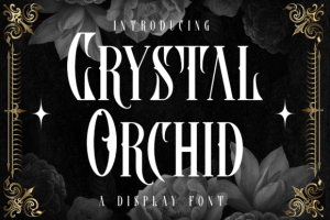 Crystal Orchid Font - Retro Elegance 2 1669553034 - Free Art Files