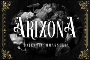 Crystal Orchid Font - Retro Elegance 5 1073860695 - Free Art Files