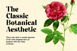 200004439 - Free Art Files