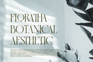 Grache Font - Modern Elegant Serif 14 1263504613 - Free Art Files