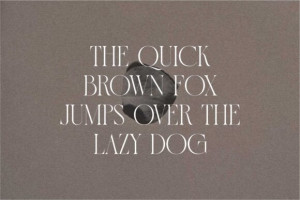 Grache Font - Modern Elegant Serif 4 376912318 - Free Art Files