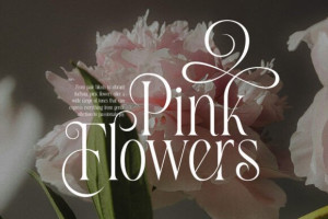 Healing Font - Elegant Serif Typeface 4 311733426 - Free Art Files