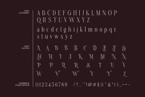 Healing Font - Elegant Serif Typeface 10 3386593157 - Free Art Files