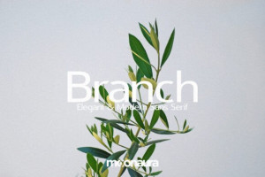 2293372776 - Free Art Files